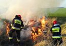 Pożary traw – taktyka działania