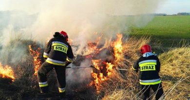 Pożary traw – taktyka działania Pożary traw – taktyka działania